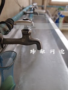 蜂融网逾期多久会过期 蜂融网逾期多久会过期