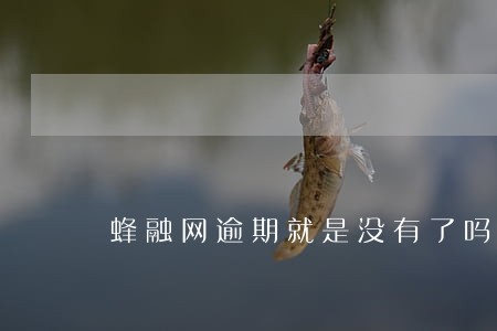 蜂融网逾期就是没有了吗 蜂融网逾期就是没有了吗