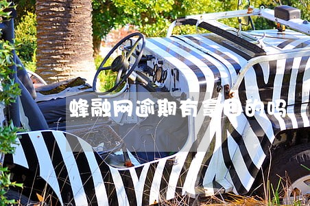 蜂融网逾期有拿回的吗 蜂融网逾期有拿回的吗