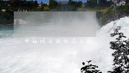 蜂融网逾期能还上么 蜂融网逾期能还上么