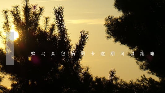 蜂鸟众包信用卡逾期可以跑嘛 蜂鸟众包信用卡逾期可以跑嘛