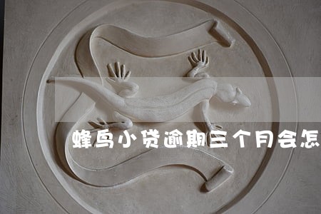 蜂鸟小贷逾期三个月会怎么样 蜂鸟小贷逾期三个月会怎么样