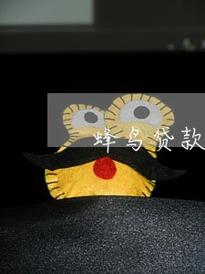 蜂鸟贷款怎么只还本金 蜂鸟贷款怎么只还本金