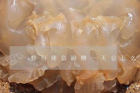 蜂鸟速贷逾期一天会怎么样 蜂鸟速贷逾期一天会怎么样