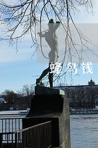 蜂鸟钱包逾期会怎么样 蜂鸟钱包逾期会怎么样
