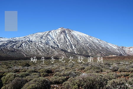 蜗牛手记欠款逾期 蜗牛手记欠款逾期