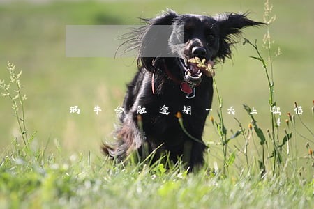 蜗牛金融逾期一天上征信吗 蜗牛金融逾期一天上征信吗