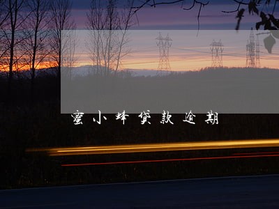 蜜小蜂贷款逾期 蜜小蜂贷款逾期