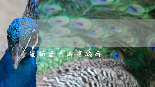 蜜拓蜜产品有效吗