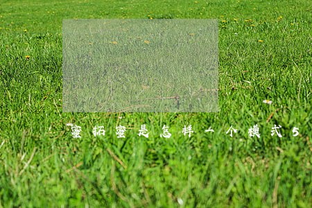 蜜拓蜜是怎样一个模式53 蜜拓蜜是怎样一个模式53