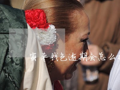 蜜枣钱包逾期会怎么样 蜜枣钱包逾期会怎么样