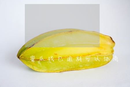 蜜瓜钱包逾期可以协商 蜜瓜钱包逾期可以协商