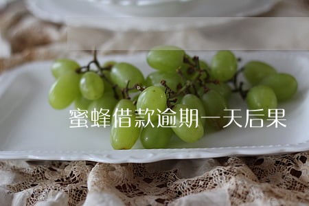 蜜蜂借款逾期一天后果