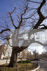 蜜蜂借款逾期一天还了还能借吗 蜜蜂借款逾期一天还了还能借吗