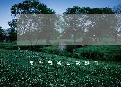 蜜蜂有钱回款逾期 蜜蜂有钱回款逾期
