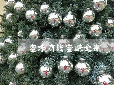 蜜蜂有钱蜜赚逾期 蜜蜂有钱蜜赚逾期