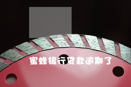 蜜蜂银行贷款逾期了 蜜蜂银行贷款逾期了