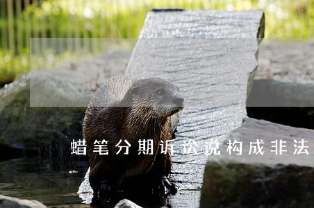 蜡笔分期诉讼说构成非法占有 蜡笔分期诉讼说构成非法占有