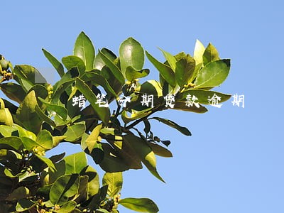 蜡笔分期贷款逾期 蜡笔分期贷款逾期
