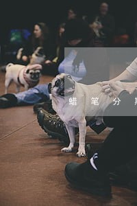 蜡笔分期还清后还显示逾期 蜡笔分期还清后还显示逾期