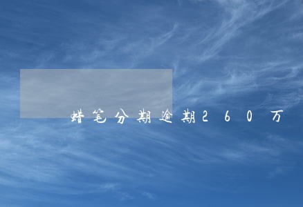 蜡笔分期逾期260万 蜡笔分期逾期260万