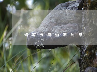 蜡笔分期逾期利息 蜡笔分期逾期利息