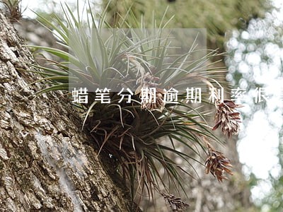 蜡笔分期逾期利率很高 蜡笔分期逾期利率很高
