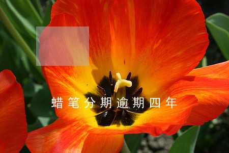 蜡笔分期逾期四年 蜡笔分期逾期四年