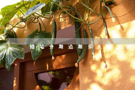 蜡笔分期逾期多久会上征信 蜡笔分期逾期多久会上征信