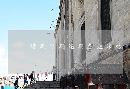 蜡笔分期逾期费违法吗 蜡笔分期逾期费违法吗