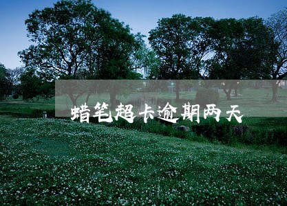 蜡笔超卡逾期两天 蜡笔超卡逾期两天