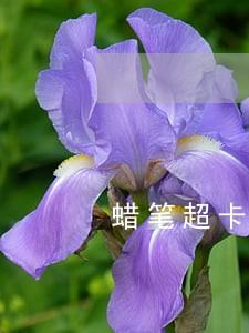 蜡笔超卡逾期会不会打电话 蜡笔超卡逾期会不会打电话