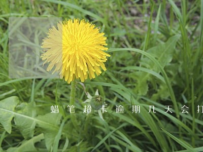 蜡笔超卡逾期几天会打电话 蜡笔超卡逾期几天会打电话
