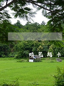 蜡笔超卡逾期多久会联系通讯录