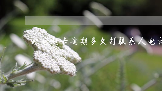 蜡笔超卡逾期多久打联系人电话 蜡笔超卡逾期多久打联系人电话