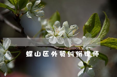 蝶山区外贸纠纷律师