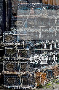 螃蟹快递逾期导致全部死亡谁负责 螃蟹快递逾期导致全部死亡谁负责