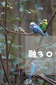 融30快速贷逾期上报 融30快速贷逾期上报