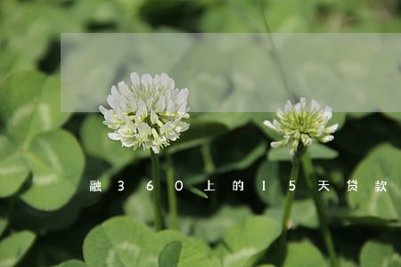 融360上的15天贷款逾期 融360上的15天贷款逾期