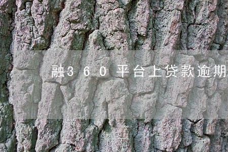 融360平台上贷款逾期一天
