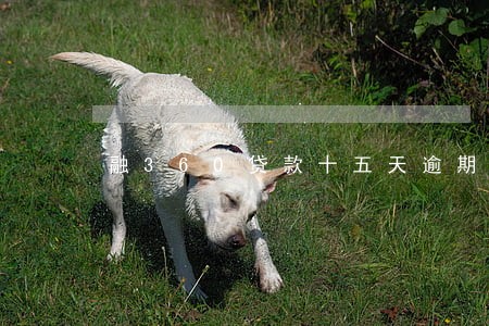 融360贷款十五天逾期 融360贷款十五天逾期