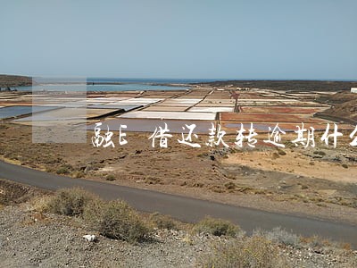融E借还款转逾期什么意思 融E借还款转逾期什么意思