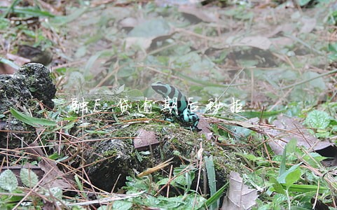 融E贷逾期后秒拒 融E贷逾期后秒拒