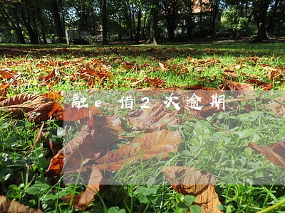 融e借2次逾期 融e借2次逾期