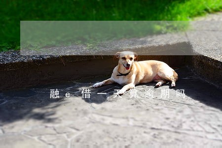 融e借一天算逾期吗 融e借一天算逾期吗