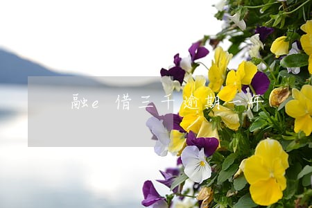 融e借三千逾期一年 融e借三千逾期一年
