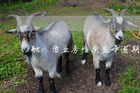 融e借业务性质显示逾期扣款 融e借业务性质显示逾期扣款