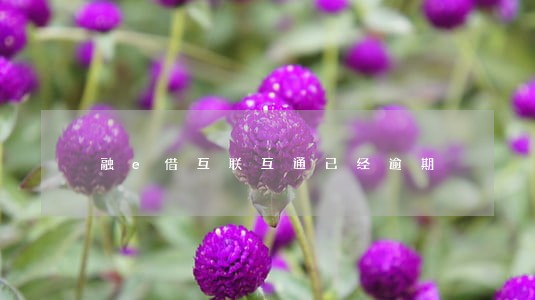 融e借互联互通已经逾期 融e借互联互通已经逾期
