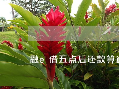 融e借五点后还款算逾期吗 融e借五点后还款算逾期吗