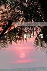 融e借借款逾期